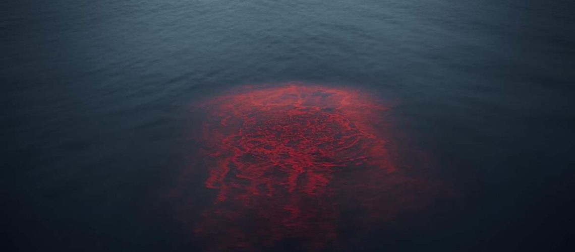 Design sem nome (24)