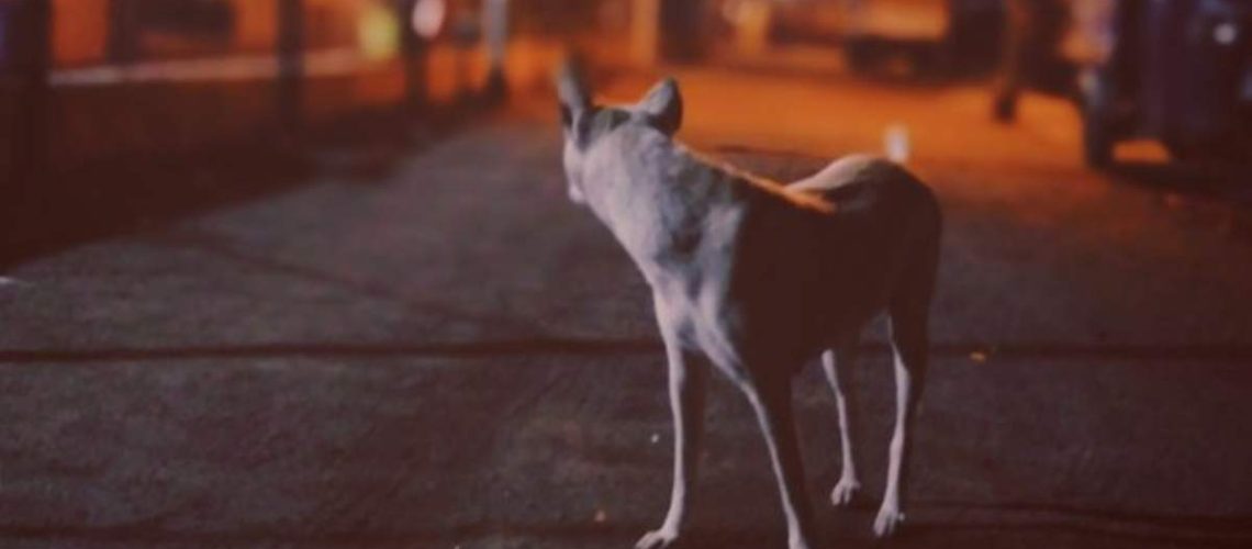 Design sem nome (30)