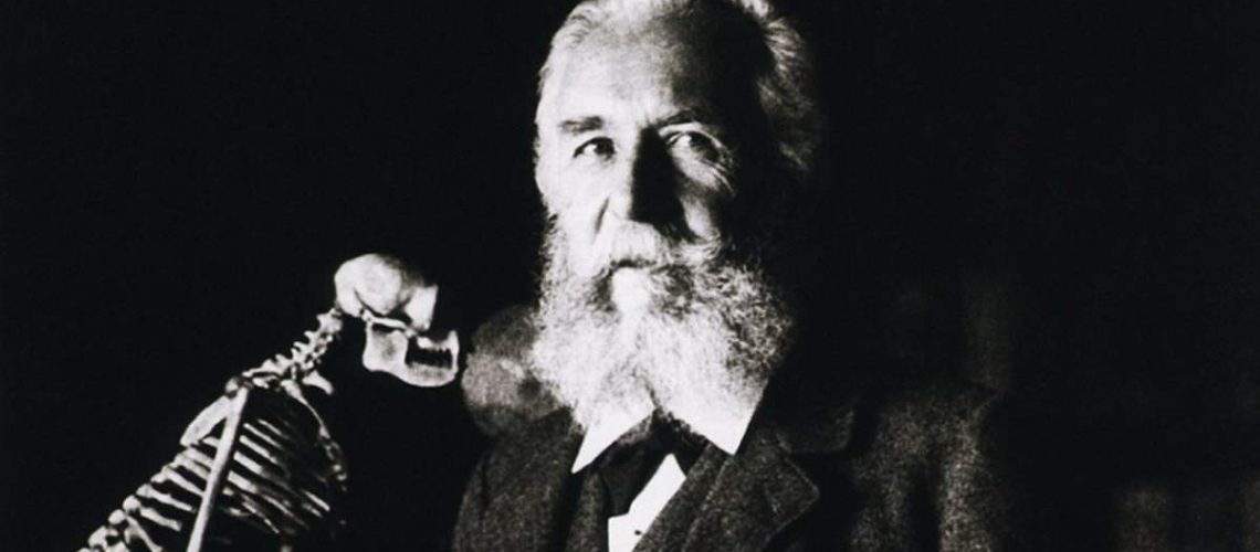 Design sem nome (35)