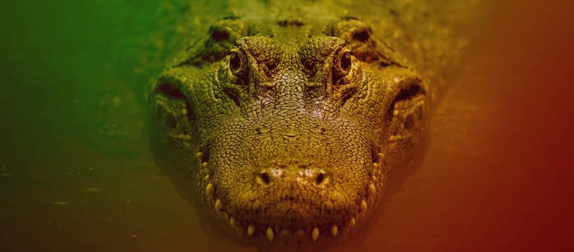 Design sem nome (45)