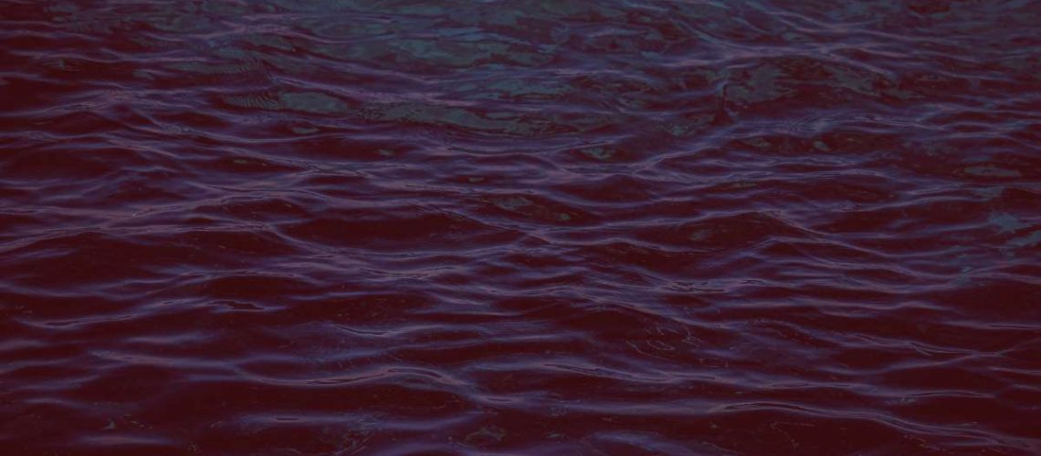 Design sem nome (67)